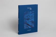 Charger l'image dans la galerie, Failles