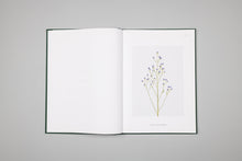 Charger l'image dans la galerie, Flora Synthetica