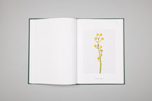 Charger l'image dans la galerie, Flora Synthetica