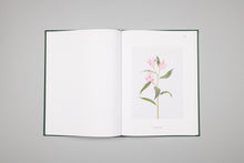 Charger l'image dans la galerie, Flora Synthetica