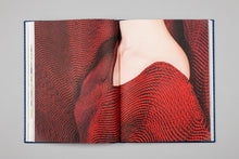 Charger l'image dans la galerie, Failles