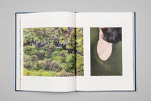 Charger l'image dans la galerie, Failles